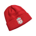 Front - Liverpool FC Official Adults Knitted Turn Up Hat