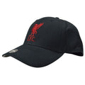 Front - Liverpool FC Mass Basic Liver Bird Baseball Cap