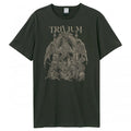 Front - Amplified Unisex Adult Dragon Temple Trivium T-Shirt