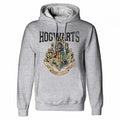 Front - Harry Potter Unisex Adult Hogwarts Crest Hoodie