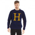 Front - Harry Potter Unisex Adult Letter H Christmas Jumper