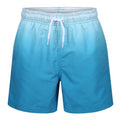 Front - RIPT Essentials Boys Dip Dye Ultra Light Swim Shorts