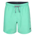 Front - RIPT Essentials Mens Swim Shorts