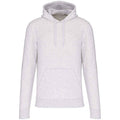 Front - Kariban Mens Eco Friendly Hoodie