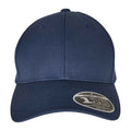 Front - Flexfit 110 Curved Peak Cap