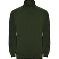 Front - Roly Mens Aneto Quarter Zip Sweatshirt