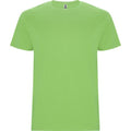 Front - Roly Mens Stafford T-Shirt