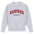 Front - Harvard University Unisex Adult Script Sweatshirt