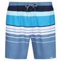 Front - Regatta Mens Loras Striped Swim Shorts