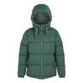 Front - Regatta Womens/Ladies Arilie Quilted Jacket