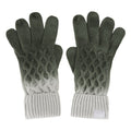 Front - Regatta Womens/Ladies Frosty VIII Ombre Gloves