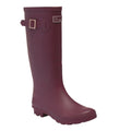 Front - Regatta Womens/Ladies Ly Fairweather II Tall Durable Wellington Boots