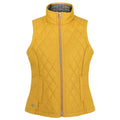 Front - Regatta Womens/Ladies Charna Gilet