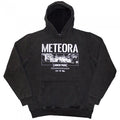 Front - Linkin Park Unisex Adult Meteora Wall Art Stone Wash Pull Over Hoodie