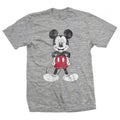 Grey - Front - Disney Unisex Adult Mickey Mouse Pose Cotton T-Shirt