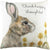 Front - Evans Lichfield Woodland Hare Cushion Cover