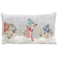 Front - Evans Lichfield Hedgehog Christmas Cushion Cover