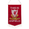 Front - Liverpool FC This Is Anfield Mini Pennant