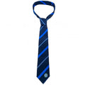 Front - Chelsea FC Unisex Adult Stripe Tie