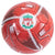 Front - Liverpool FC Turbine Print Football