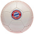 Front - FC Bayern Munich Fade Football