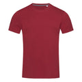 Bordeaux - Front - Stedman Stars Mens Clive Crew Neck Tee