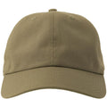 Olive - Lifestyle - Atlantis Unisex Adult Dad Sustainable 6 Panel Baseball Cap