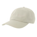 White - Front - Atlantis Unisex Adult Dad Sustainable 6 Panel Baseball Cap