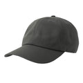 Dark Grey - Front - Atlantis Unisex Adult Dad Sustainable 6 Panel Baseball Cap