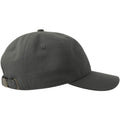 Dark Grey - Side - Atlantis Unisex Adult Dad Sustainable 6 Panel Baseball Cap