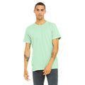 Mint Triblend - Back - Canvas Mens Triblend Crew Neck Plain Short Sleeve T-Shirt