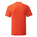 Flame - Back - Fruit Of The Loom Mens Iconic 150 T-Shirt