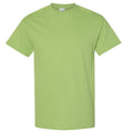 Kiwi - Front - Gildan Mens Heavy Cotton Short-Sleeved T-Shirt