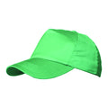 Kelly Green - Back - Result Unisex Plain Baseball Cap