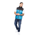 Petrol-Black - Lifestyle - Crosshatch Mens Demerley Contrast Panel Gilet