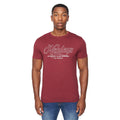 Multicoloured - Pack Shot - Henleys Mens Varick T-Shirt (Pack of 5)