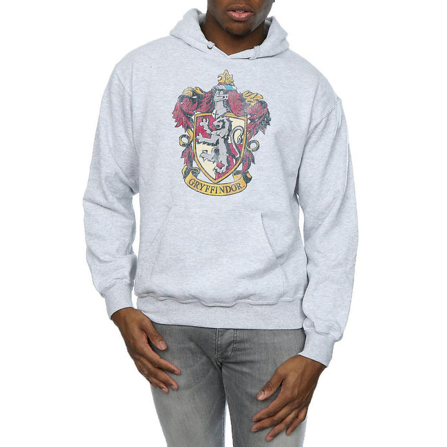 Gryffindor best sale hoodie mens