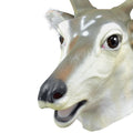 Grey-White - Back - Bristol Novelty Unisex Adults Deer Mask