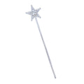 Silver - Front - Bristol Novelty Star Wand