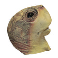 Multicoloured - Back - Bristol Novelty Unisex Turtle Mask