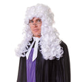 White - Back - Bristol Novelty Unisex Judge Wig