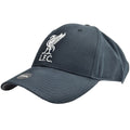 Navy-Grey - Back - Liverpool FC Mass Basic Liver Bird Cap