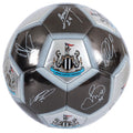 Silver-Black-Green - Lifestyle - Newcastle United FC Signature Metallic Football