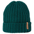 Dark Viridian - Front - Craghoppers Mens Riber II Beanie