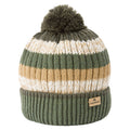 Woodland Green - Front - Craghoppers Mens National Trust Brimham Stripe Beanie