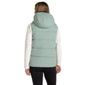 Pale Pistachio - Back - Craghoppers Womens-Ladies Andes Waterproof Hooded Gilet