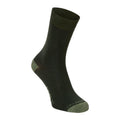 Parka Green-Dry Grass - Front - Craghoppers NosiLife Mens Insect Repellent Travel Socks