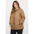 Chocolate - Pack Shot - Dorothy Perkins Womens-Ladies Contrast Collarless Plus Padded Jacket