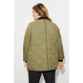 Sage - Back - Dorothy Perkins Womens-Ladies Contrast Collarless Plus Padded Jacket