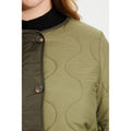 Sage - Side - Dorothy Perkins Womens-Ladies Contrast Collarless Plus Padded Jacket